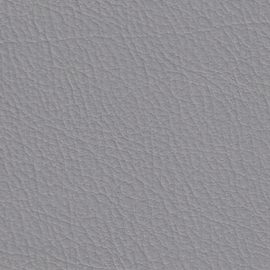 06 Gris Perla